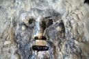 Rome 13